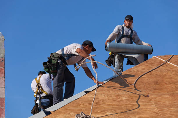 Best Roof Replacement Cost  in Waverly, NY