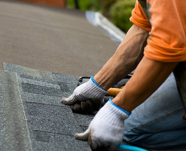 Best Roof Gutter Cleaning  in Waverly, NY