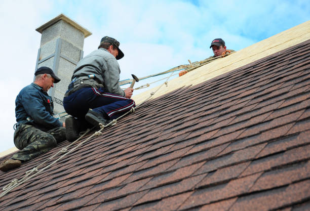 Quick and Trustworthy Emergency Roof Repair Services in Waverly, NY